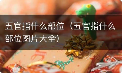 五官指什么部位（五官指什么部位图片大全）