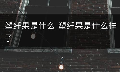 塑纤果是什么 塑纤果是什么样子