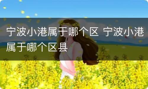 宁波小港属于哪个区 宁波小港属于哪个区县