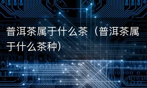 普洱茶属于什么茶（普洱茶属于什么茶种）