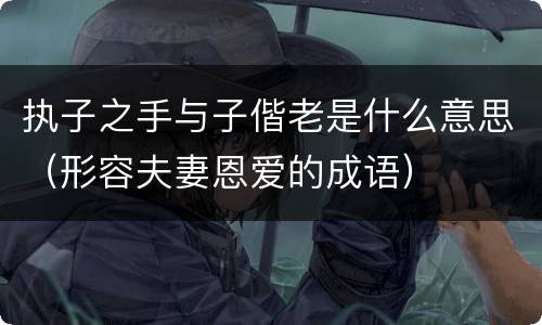 执子之手与子偕老是什么意思（形容夫妻恩爱的成语）