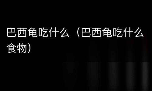 巴西龟吃什么（巴西龟吃什么食物）