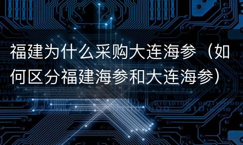 福建为什么采购大连海参（如何区分福建海参和大连海参）
