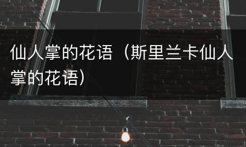 仙人掌的花语（斯里兰卡仙人掌的花语）