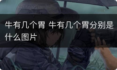 牛有几个胃 牛有几个胃分别是什么图片