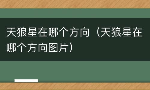 天狼星在哪个方向（天狼星在哪个方向图片）