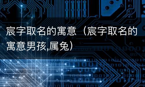 宸字取名的寓意（宸字取名的寓意男孩,属兔）