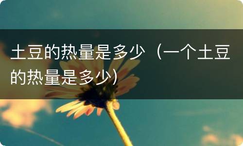 土豆的热量是多少（一个土豆的热量是多少）