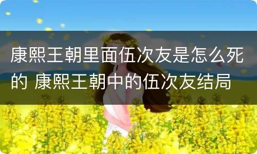康熙王朝里面伍次友是怎么死的 康熙王朝中的伍次友结局
