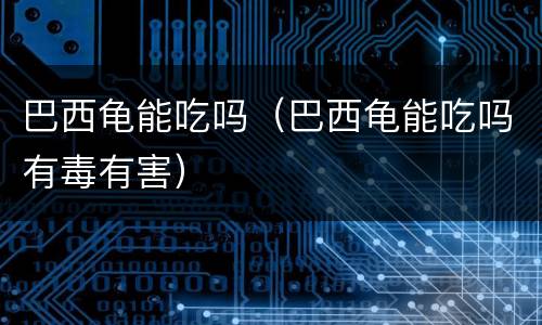 巴西龟能吃吗（巴西龟能吃吗有毒有害）