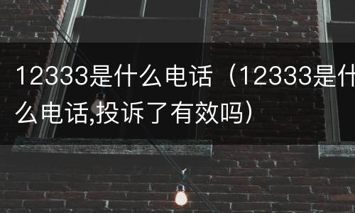 12333是什么电话（12333是什么电话,投诉了有效吗）