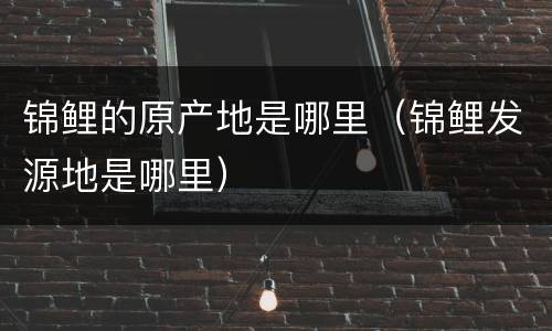 锦鲤的原产地是哪里（锦鲤发源地是哪里）