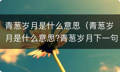 青葱岁月是什么意思（青葱岁月是什么意思?青葱岁月下一句是什么?）