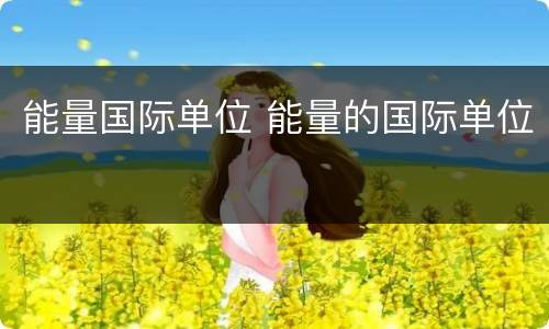 能量国际单位 能量的国际单位
