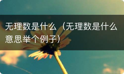 无理数是什么（无理数是什么意思举个例子）