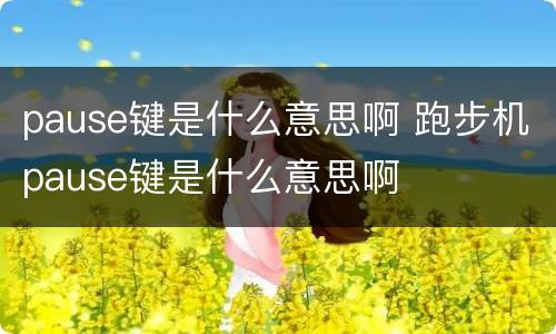 pause键是什么意思啊 跑步机pause键是什么意思啊