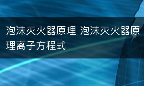 泡沫灭火器原理 泡沫灭火器原理离子方程式