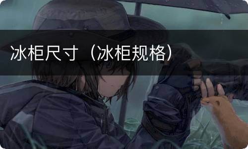 冰柜尺寸（冰柜规格）