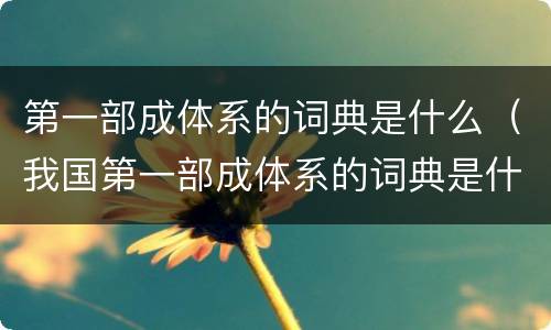 第一部成体系的词典是什么（我国第一部成体系的词典是什么词典）
