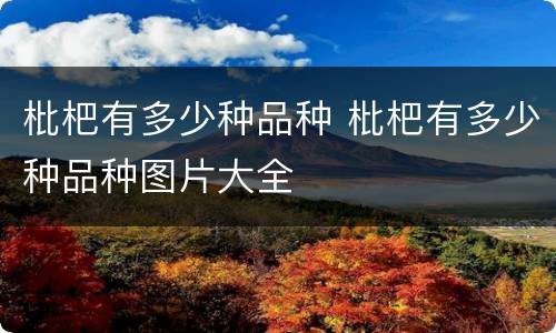 枇杷有多少种品种 枇杷有多少种品种图片大全
