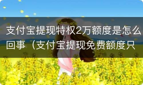 支付宝提现特权2万额度是怎么回事（支付宝提现免费额度只有两万吗）