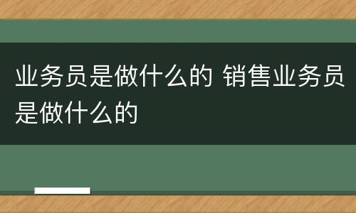 业务员是做什么的 销售业务员是做什么的