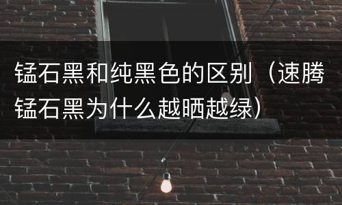 锰石黑和纯黑色的区别（速腾锰石黑为什么越晒越绿）