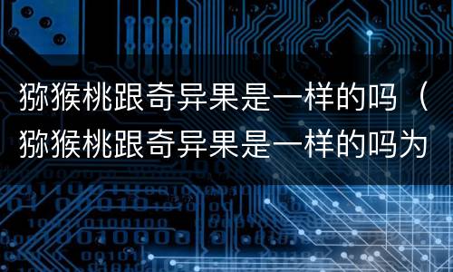 猕猴桃跟奇异果是一样的吗（猕猴桃跟奇异果是一样的吗为什么）