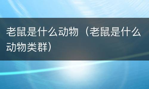 老鼠是什么动物（老鼠是什么动物类群）