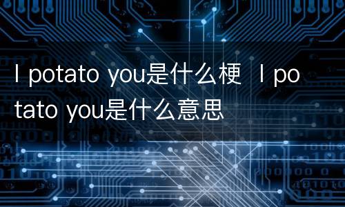 I potato you是什么梗  I potato you是什么意思