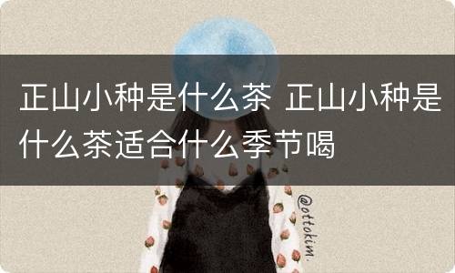 正山小种是什么茶 正山小种是什么茶适合什么季节喝