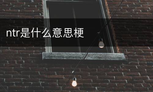 ntr是什么意思梗