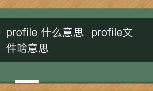 profile 什么意思  profile文件啥意思