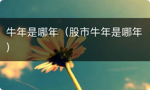 牛年是哪年（股市牛年是哪年）