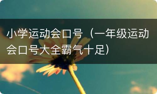 小学运动会口号（一年级运动会口号大全霸气十足）
