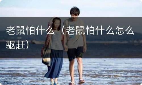 老鼠怕什么（老鼠怕什么怎么驱赶）