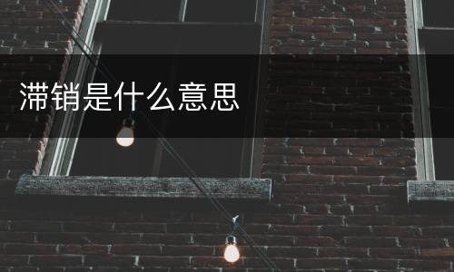 滞销是什么意思
