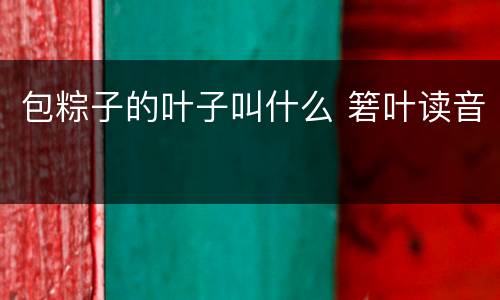 包粽子的叶子叫什么 箬叶读音