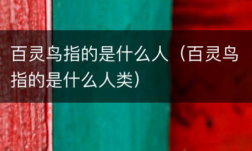 百灵鸟指的是什么人（百灵鸟指的是什么人类）
