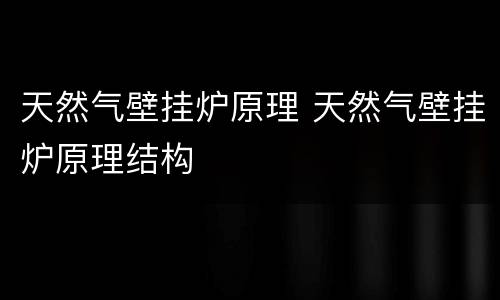 天然气壁挂炉原理 天然气壁挂炉原理结构