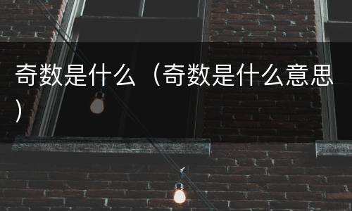 奇数是什么（奇数是什么意思）