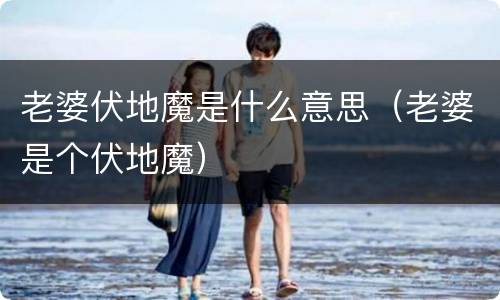 老婆伏地魔是什么意思（老婆是个伏地魔）