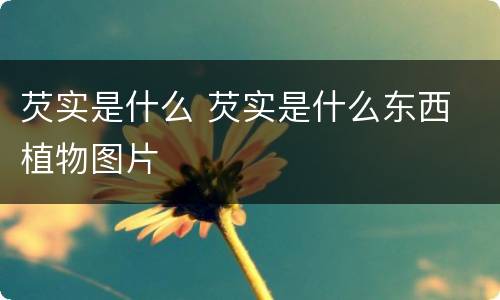 芡实是什么 芡实是什么东西 植物图片