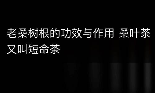 老桑树根的功效与作用 桑叶茶又叫短命茶