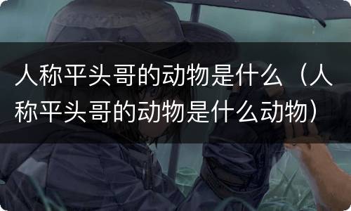人称平头哥的动物是什么（人称平头哥的动物是什么动物）