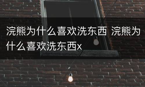 浣熊为什么喜欢洗东西 浣熊为什么喜欢洗东西x