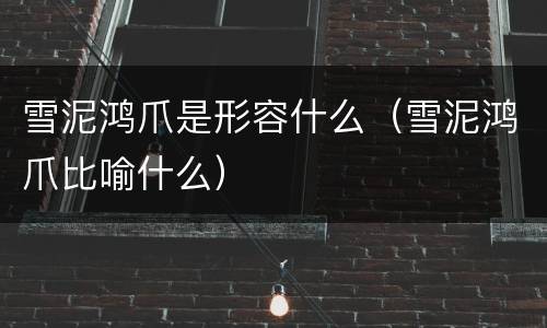 雪泥鸿爪是形容什么（雪泥鸿爪比喻什么）