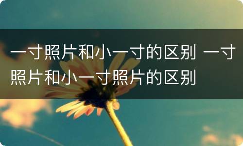 一寸照片和小一寸的区别 一寸照片和小一寸照片的区别