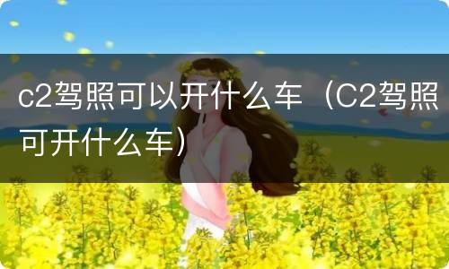 c2驾照可以开什么车（C2驾照可开什么车）