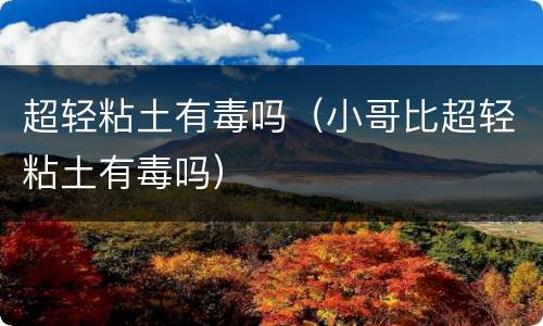 超轻粘土有毒吗（小哥比超轻粘土有毒吗）